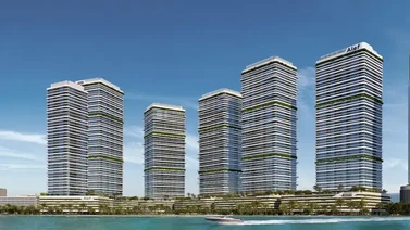 New Project by Alef