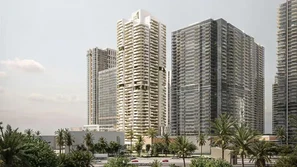 Nine Collective by Wasl