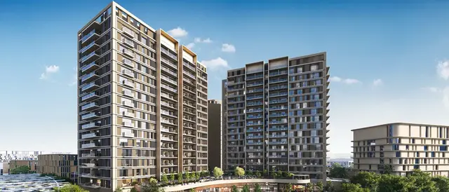 مساكن السدر